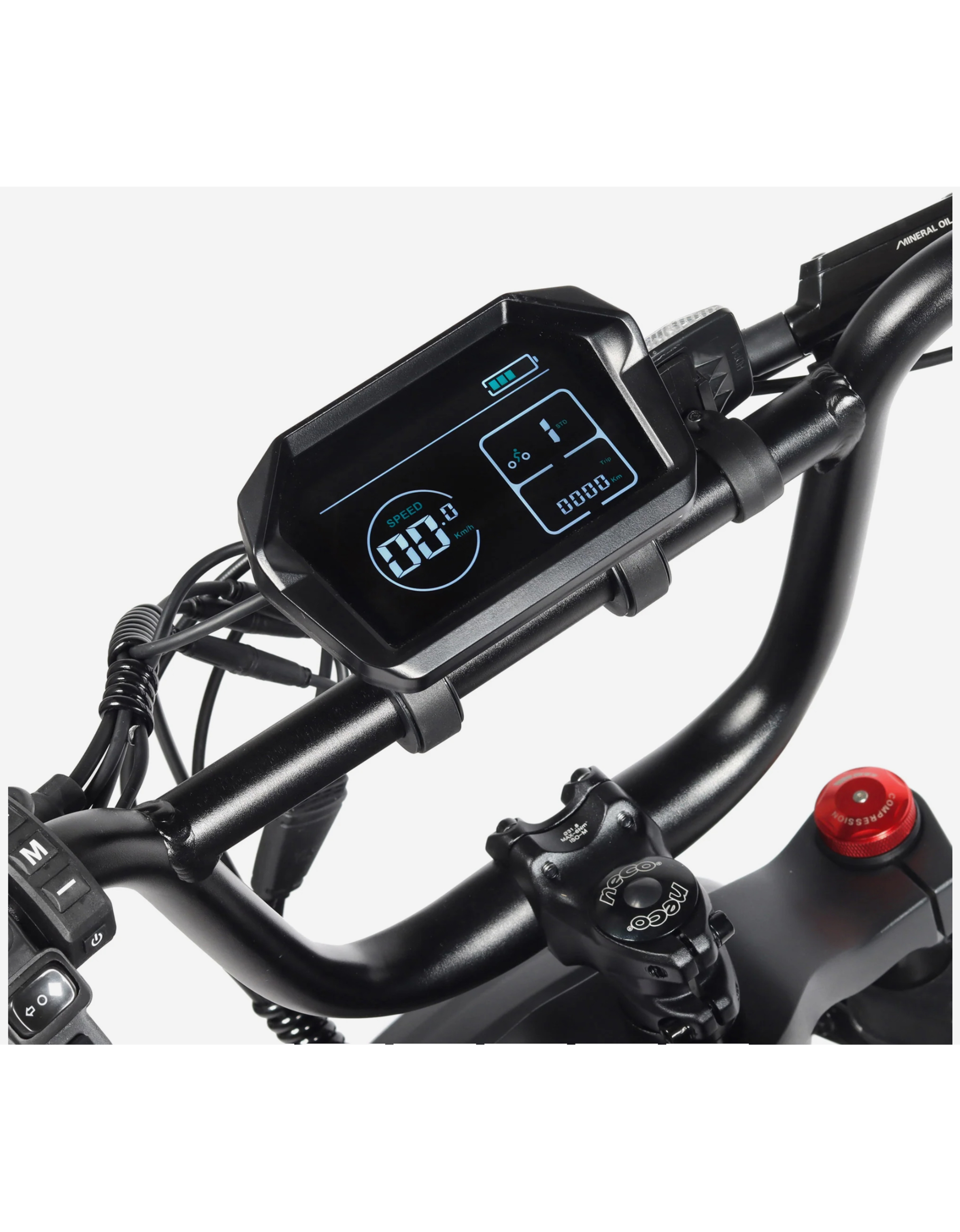 BICICLETA ELÉCTRICA FAT BIKE YOUIN LAS VEGAS - Imagen 2