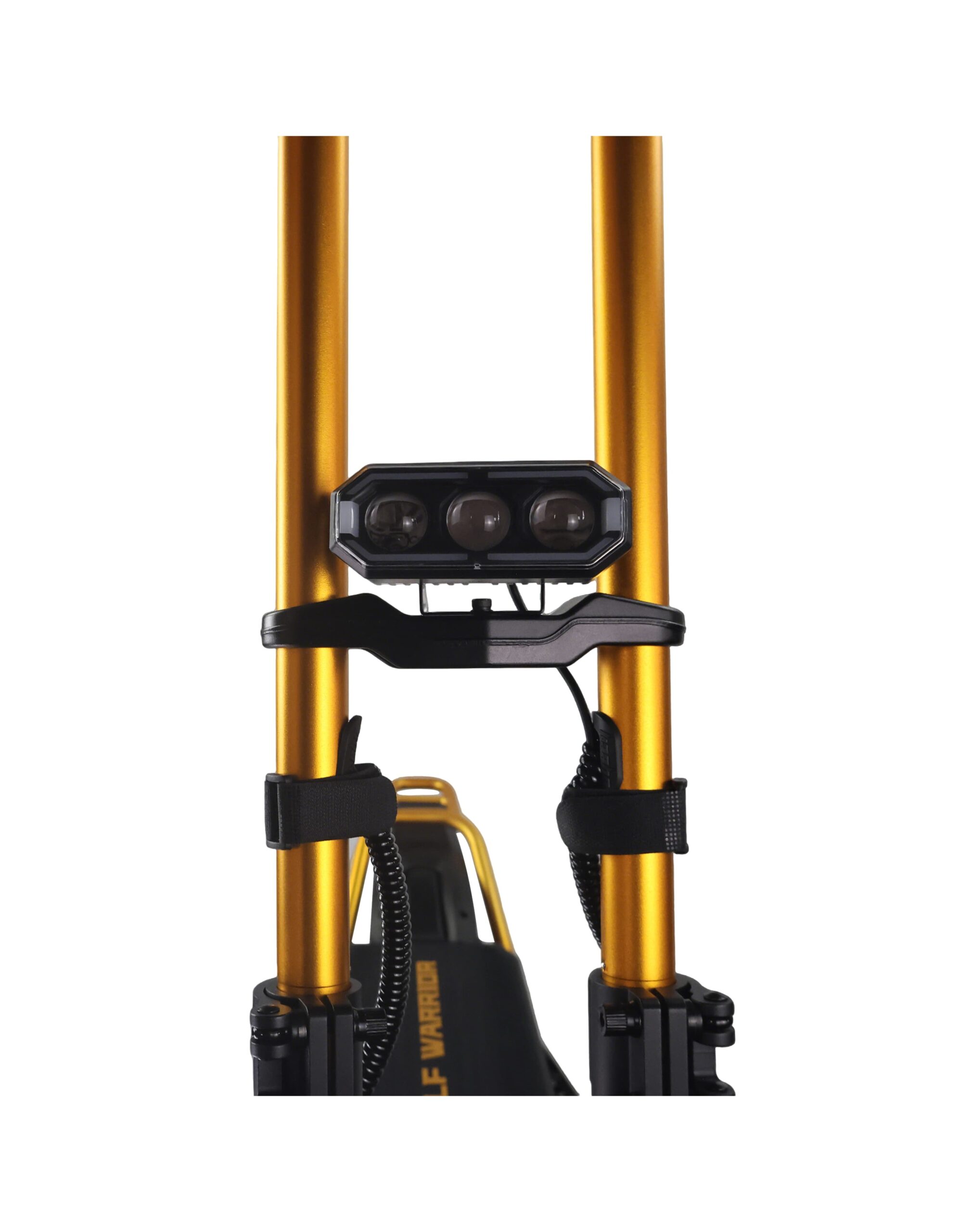WOLF WARRIOR X MAX GOLD (DGT) - Imagen 8